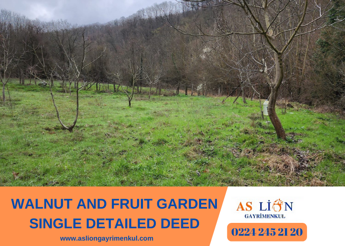 WALNUT AND FRUIT GARDEN SINGLE DETAILED DEED